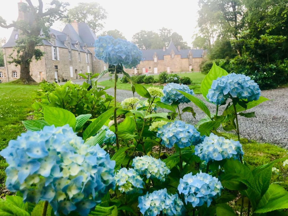 Chambres D'Hotes Chateau De La Croix Chemin Saint-Leger-des-Pres Eksteriør billede